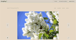 Desktop Screenshot of anythingphoto.ca